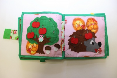 книга Галишниковой.JPG